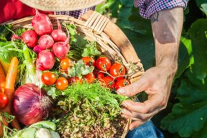 Vegetables in Your Garden