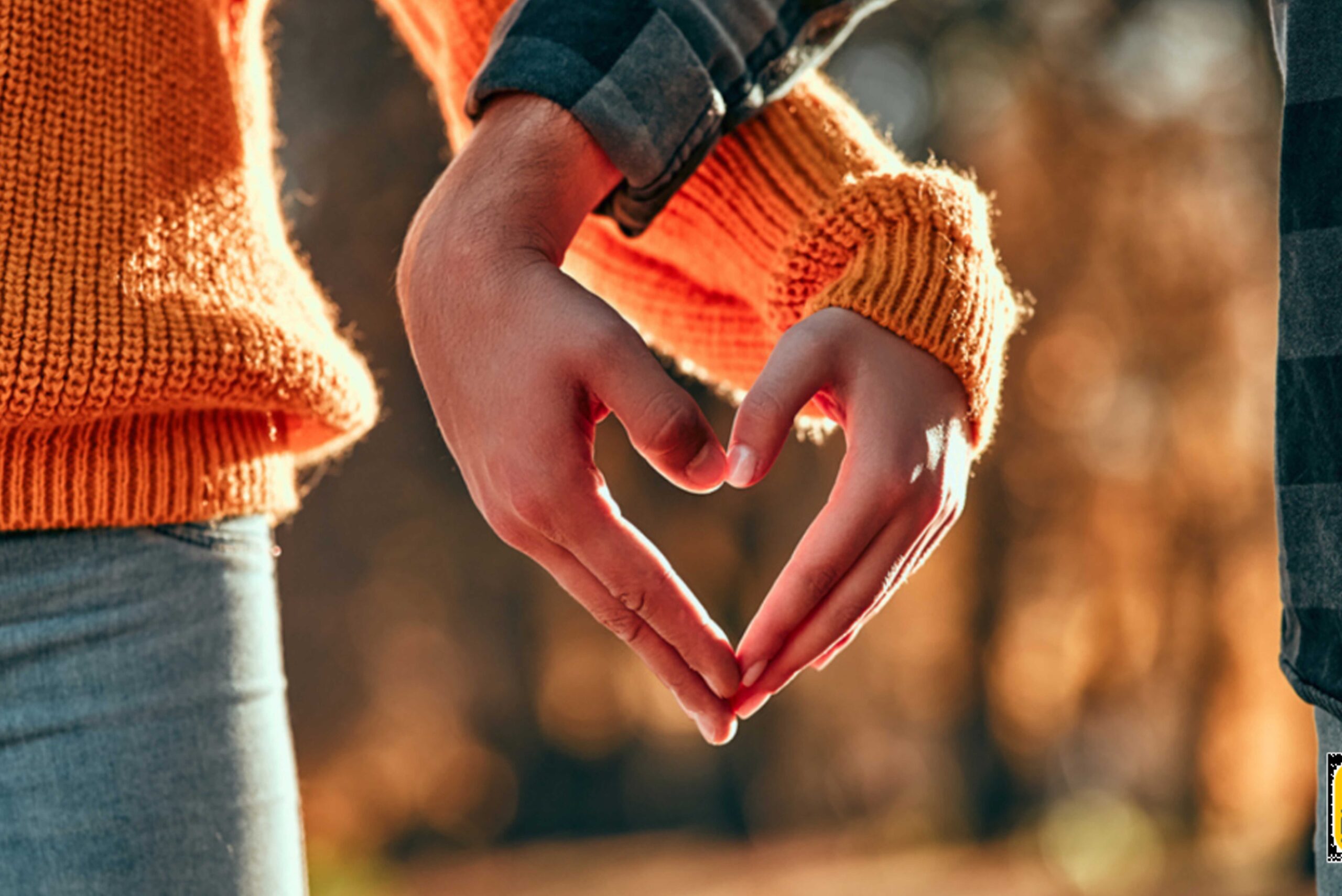 Os 5 Principais Sinais Que Você Encontrou o Amor da Sua Vida